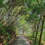 Liman Kati Hill Viewpoint