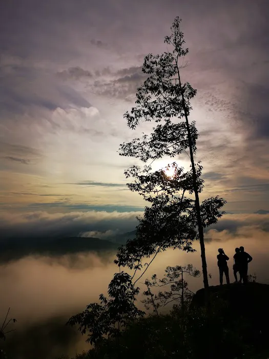 Bukit Liman Hiking Track Picture 3