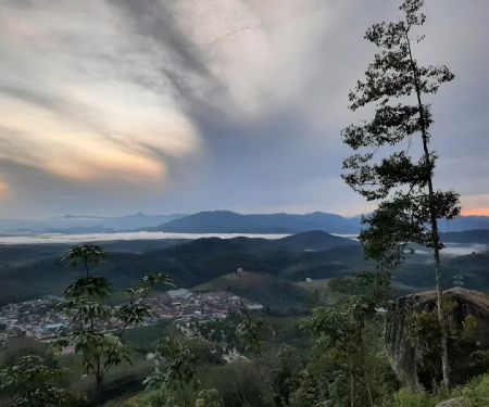 Bukit Liman Hiking Track