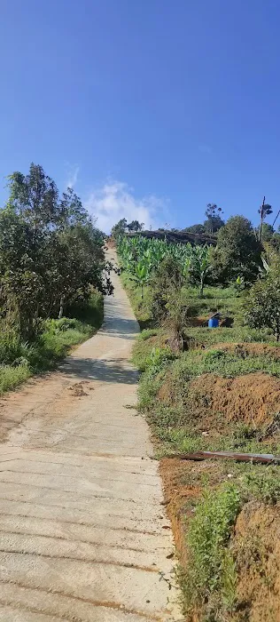 Bukit Liman Hiking Track Picture 4
