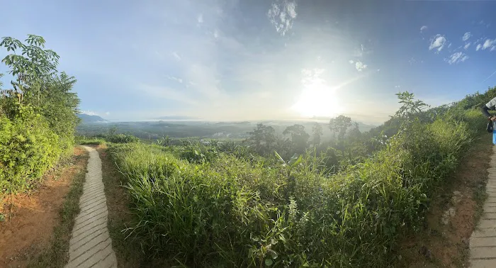 Bukit Liman Hiking Track Picture 8