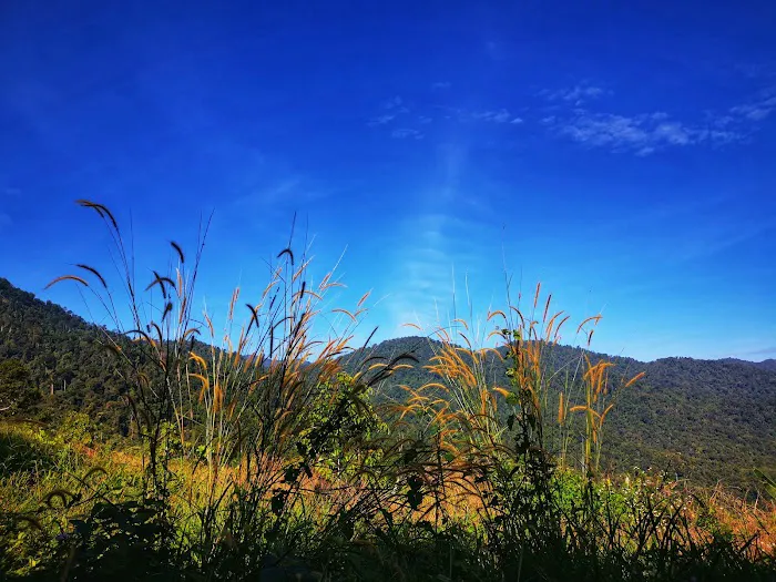 Bukit Liman Hiking Track Picture 9