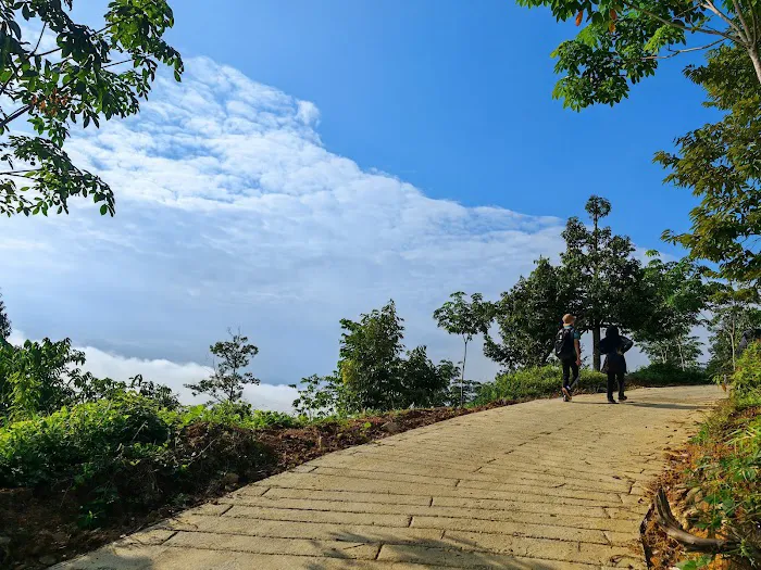 Bukit Liman Hiking Track Picture 10
