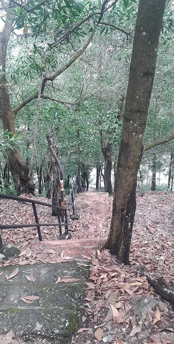 hill walk ladder Picture 1