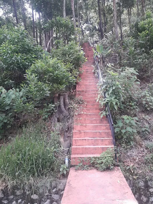 hill walk ladder Picture 3