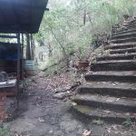 Lavvyy's Hill