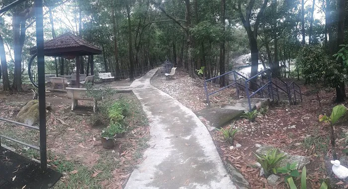 Lavvyy's Hill Picture 5
