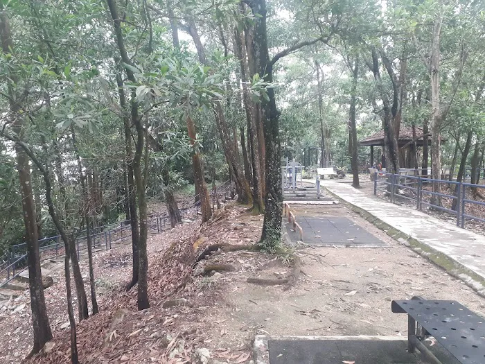 Lavvyy's Hill Picture 6