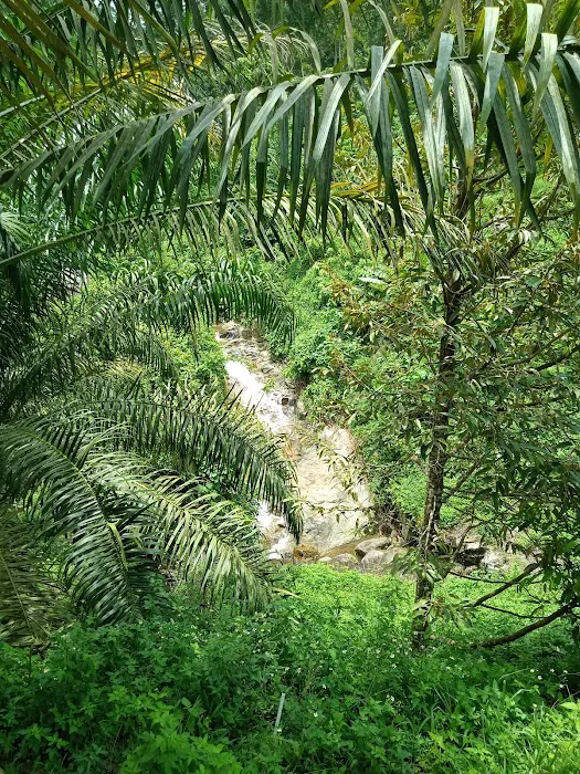 Water fall Picture 8