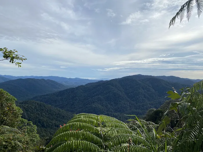 Gunung Angsi Peak Picture 1