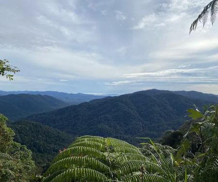 Gunung Angsi Peak