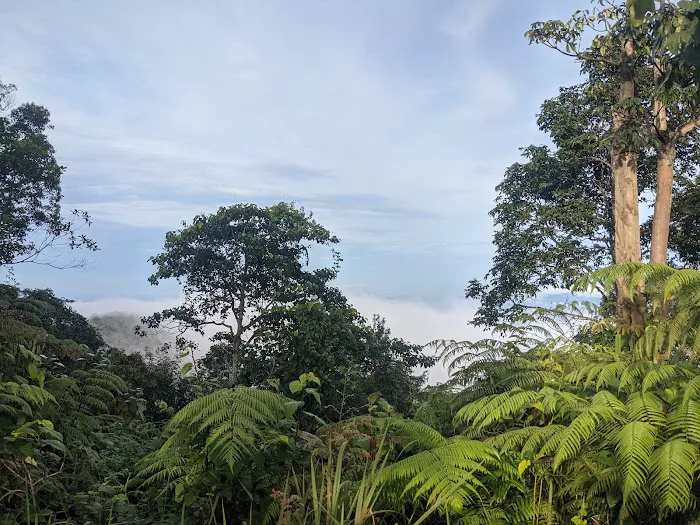 Gunung Angsi Peak Picture 6