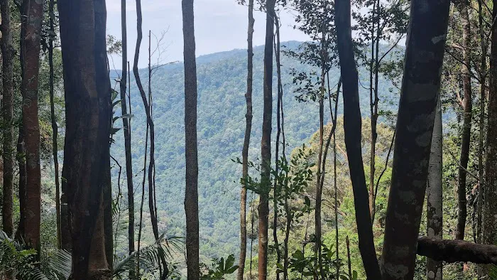 Gunung Angsi midway viewpoint Picture 1