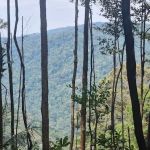 Gunung Angsi midway viewpoint