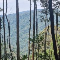 Gunung Angsi midway viewpoint ico