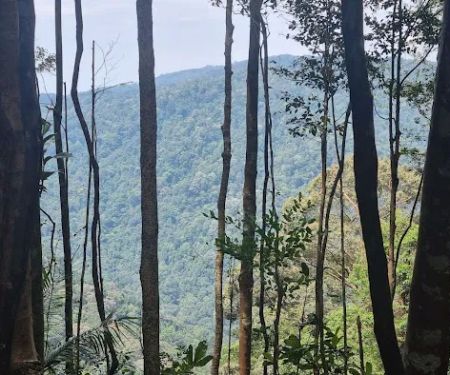 Gunung Angsi midway viewpoint