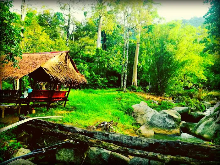 Keledang Lost Lagoon and Campsite Picture 5