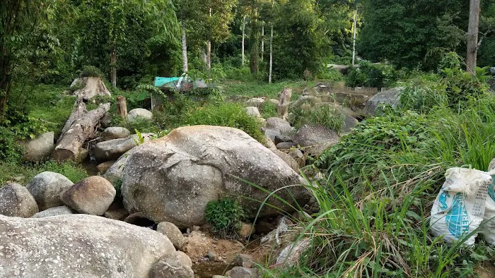 Keledang Lost Lagoon and Campsite Picture 6
