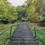 Bukit Putus (Gunung Angsi Trailhead)