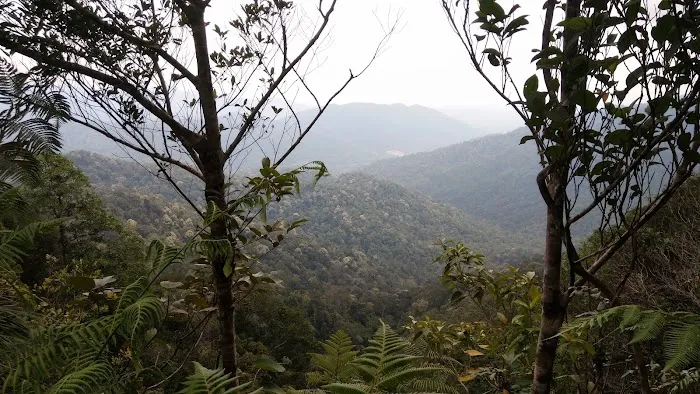 Bukit Putus (Gunung Angsi Trailhead) Picture 3