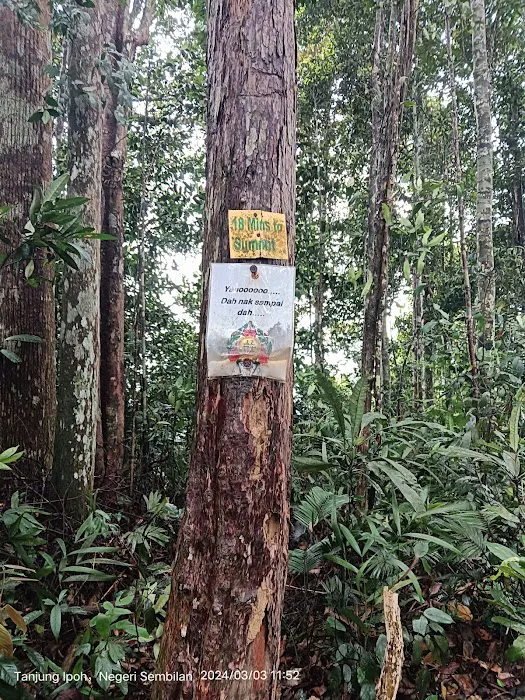 Bukit Putus (Gunung Angsi Trailhead) Picture 7