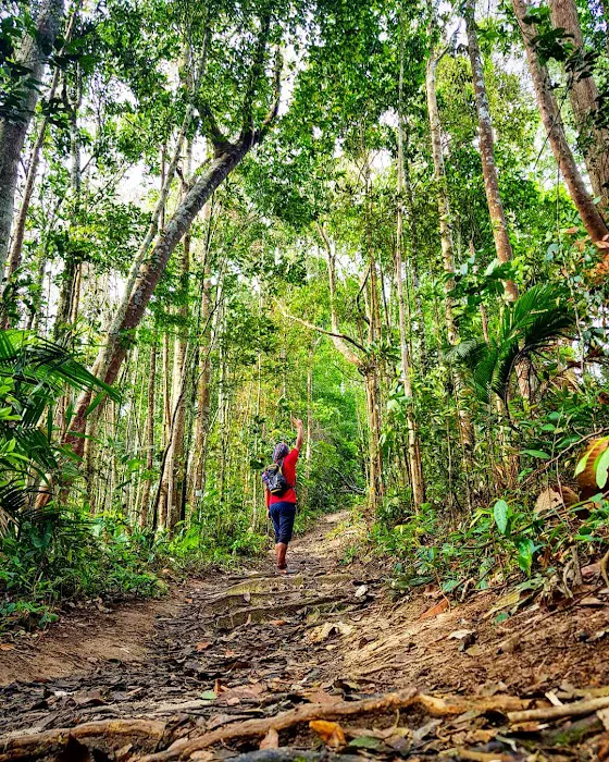Bukit Putus (Gunung Angsi Trailhead) Picture 8