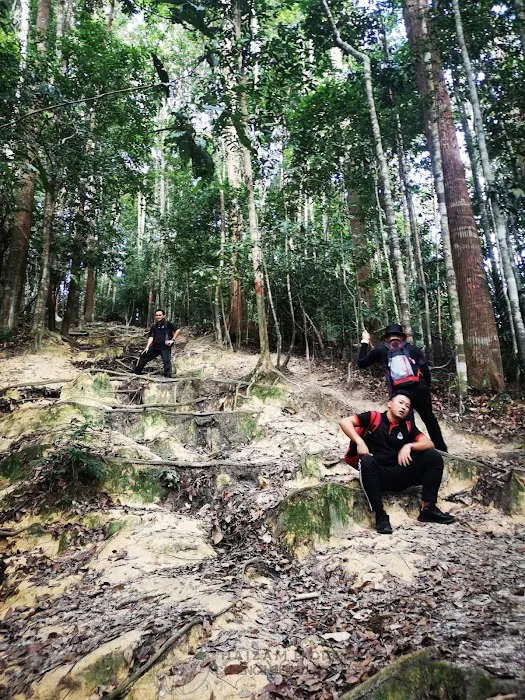 Bukit Putus (Gunung Angsi Trailhead) Picture 9