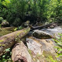 Kem Kulim ico