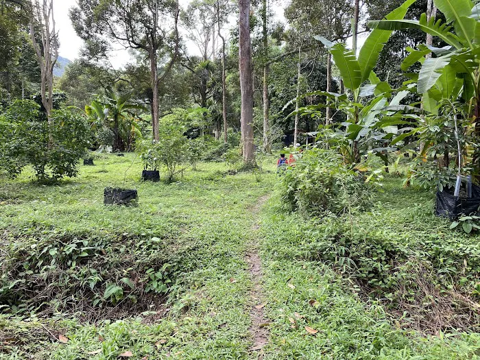 Dusun Raja Khalid Picture 3