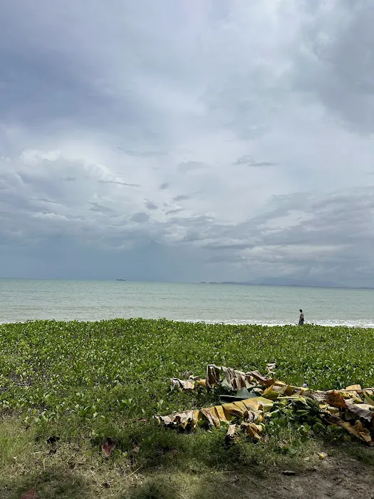 Tanjung Bungah Public Beach Picture 7