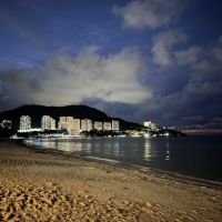 Flamingo Seaside ico
