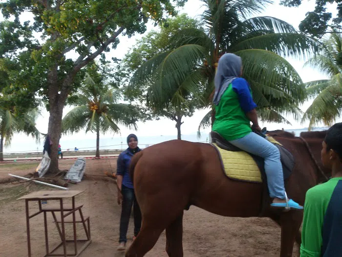 Pantai Pulau Sayak Picture 9