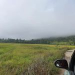 Metabolt Agro Farm