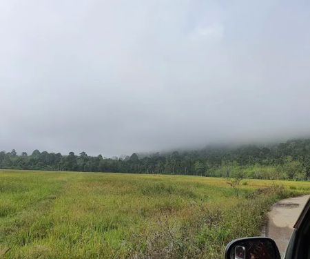 Metabolt Agro Farm