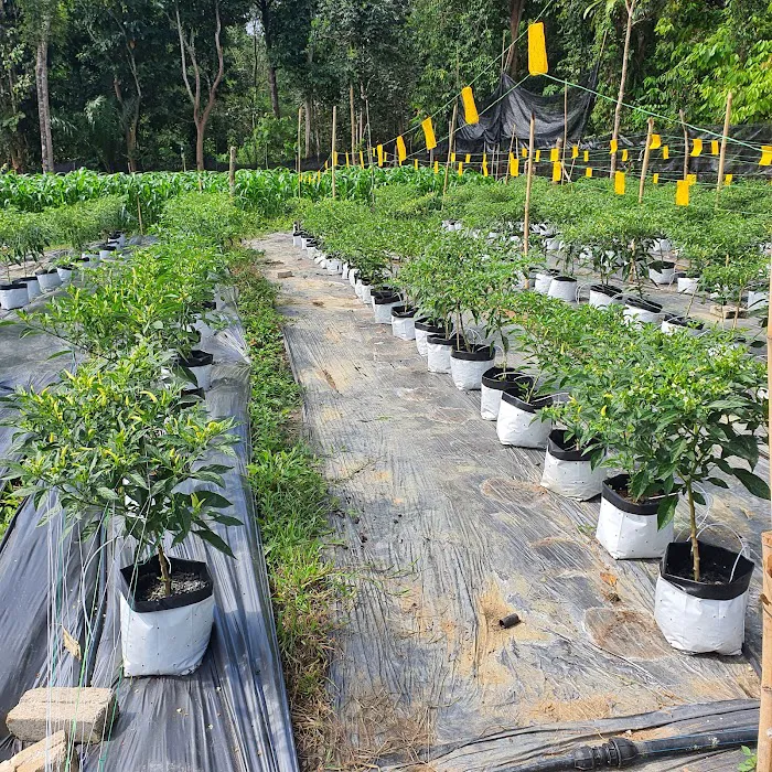 Metabolt Agro Farm Picture 3