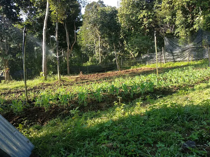 Metabolt Agro Farm Picture 4