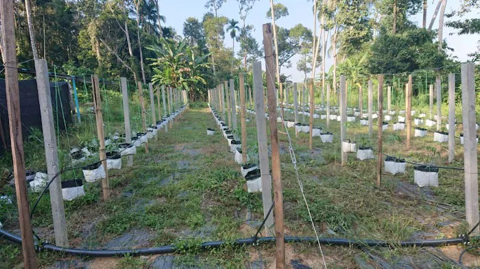 Metabolt Agro Farm Picture 5