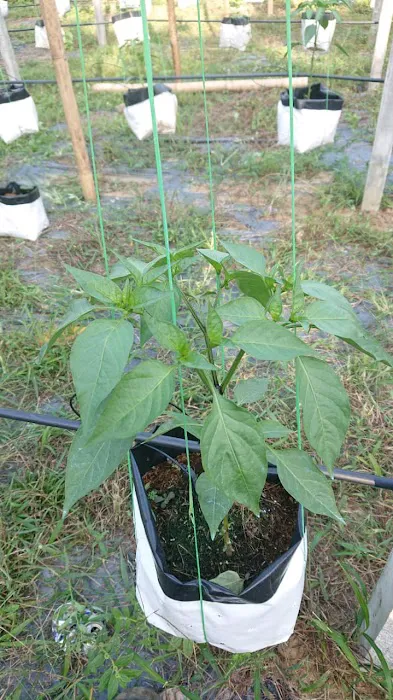 Metabolt Agro Farm Picture 7