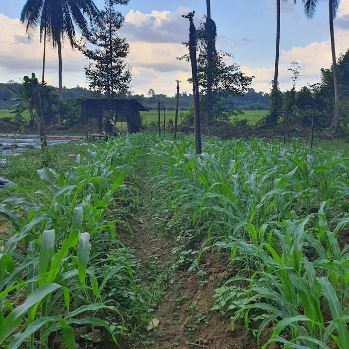 Metabolt Agro Farm Picture 8