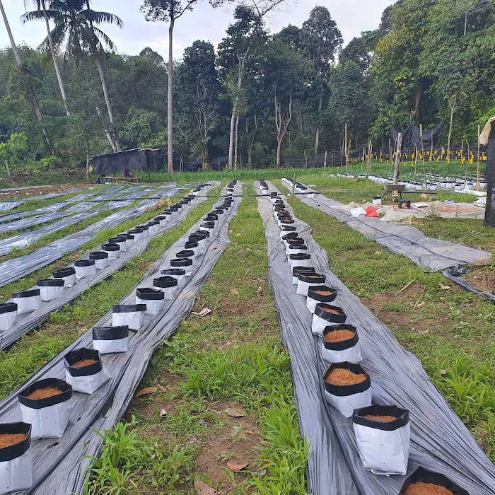 Metabolt Agro Farm Picture 9