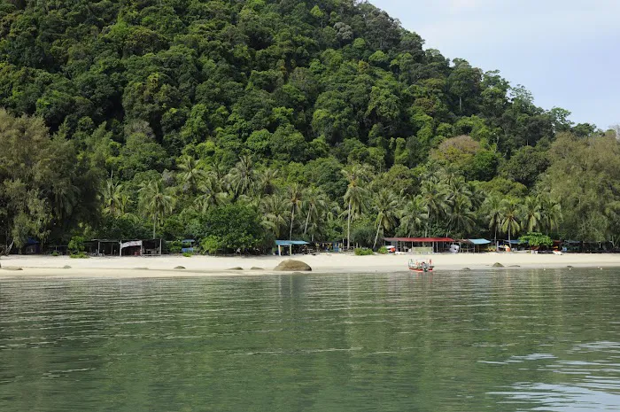 Monkey Beach Picture 1