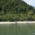 Monkey Beach