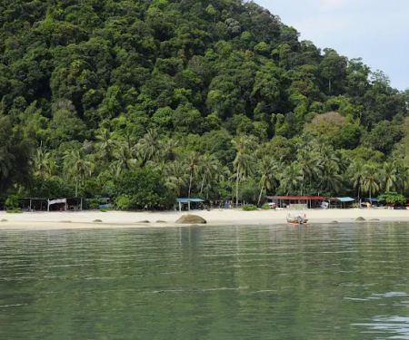 Monkey Beach