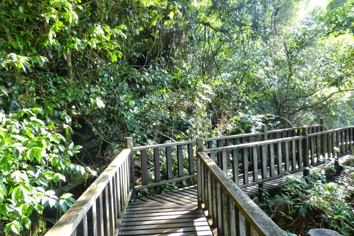 Monkey Beach Picture 6