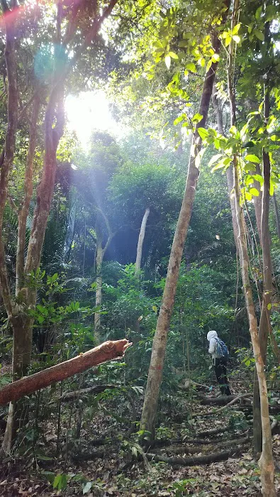 Pantai Mas Picture 10