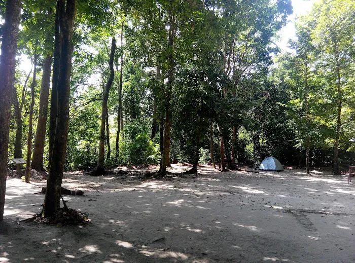 Pantai Kerachut Picture 6