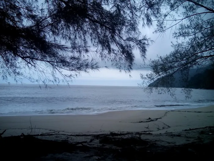 Pantai Kerachut Picture 8
