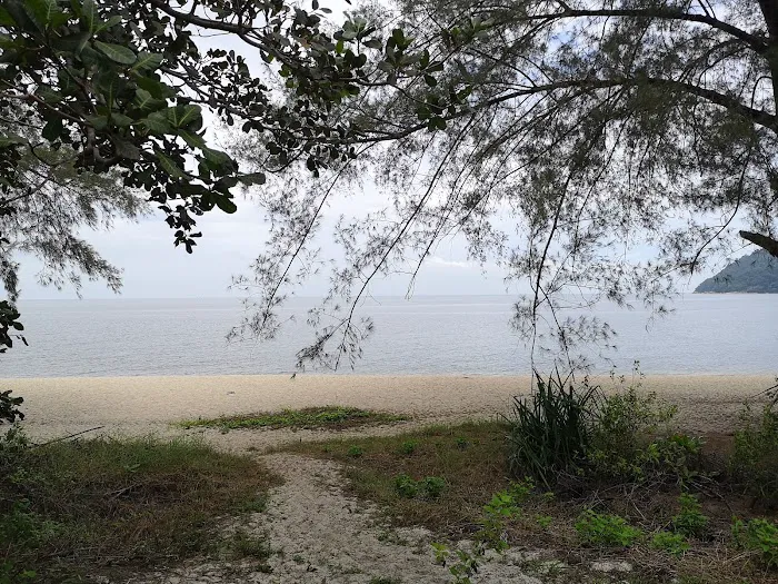 Pantai Kerachut Picture 10