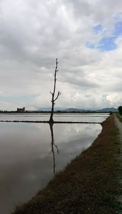 Kebun Keluarga Wan Joh Picture 2