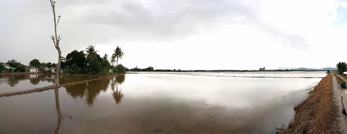 Kebun Keluarga Wan Joh Picture 4